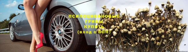 2c-b Покачи